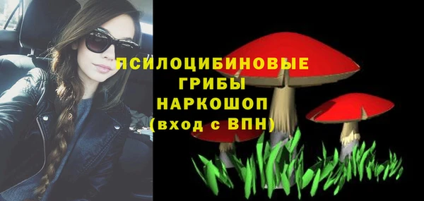 сатива Снежногорск