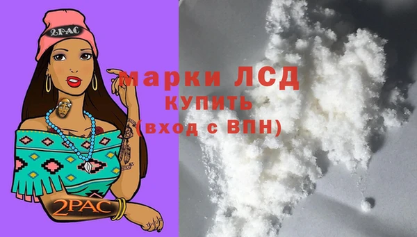 кокс Аркадак